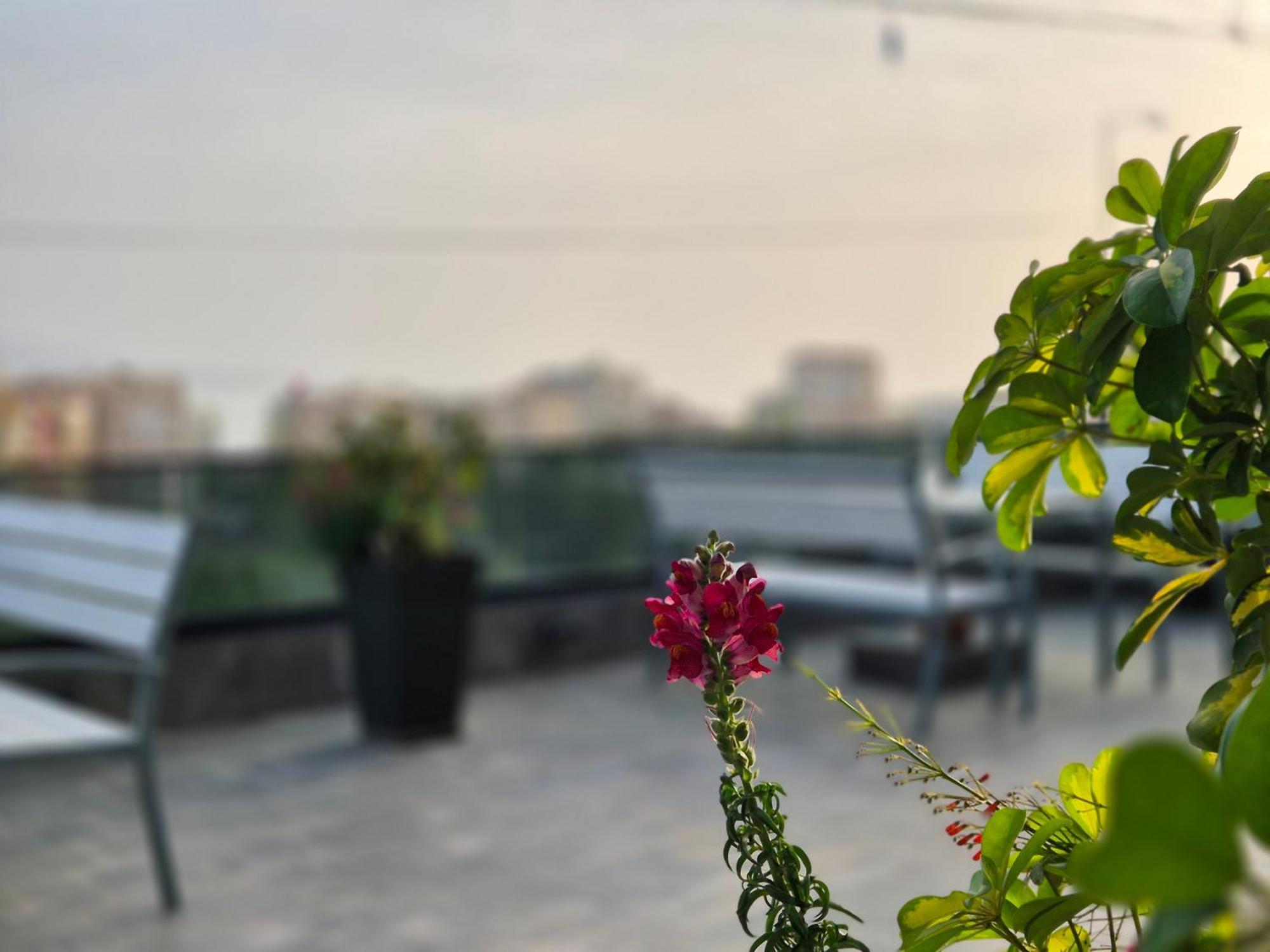 Flore Rooms Σαράντα Εξωτερικό φωτογραφία